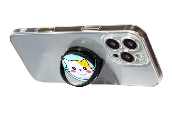 Gato